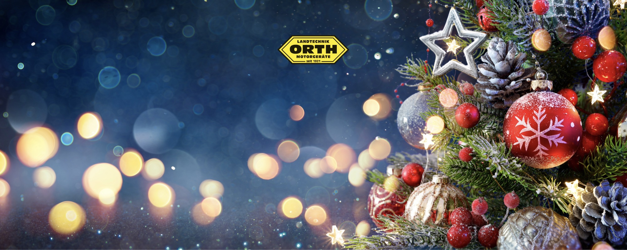 CASHBACK2024-orth-xmas